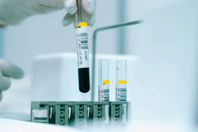 Research and systems development